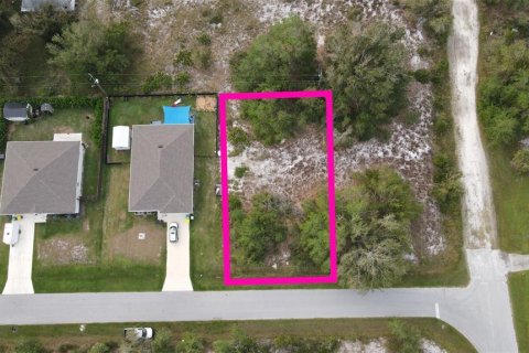 Land in Punta Gorda, Florida № 2162718 - photo 2