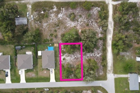 Land in Punta Gorda, Florida № 2162718 - photo 4