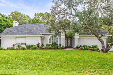 Villa ou maison à vendre à Homosassa, Floride: 3 chambres, 223.52 m2 № 1908653 - photo 1
