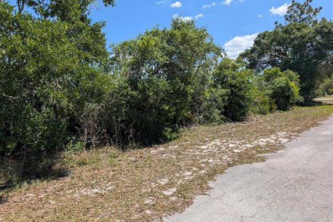 Land in Indian lake estates, Florida № 2159235 - photo 7