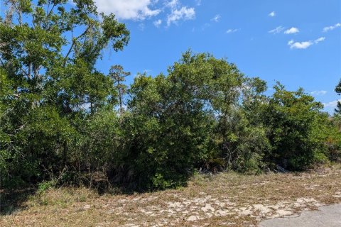 Land in Indian lake estates, Florida № 2159235 - photo 6