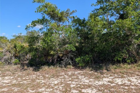 Land in Indian lake estates, Florida № 2159235