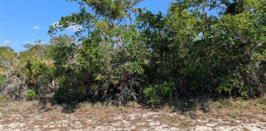 Land in Indian lake estates, Florida № 2159235