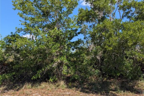 Land in Indian lake estates, Florida № 2159235 - photo 3