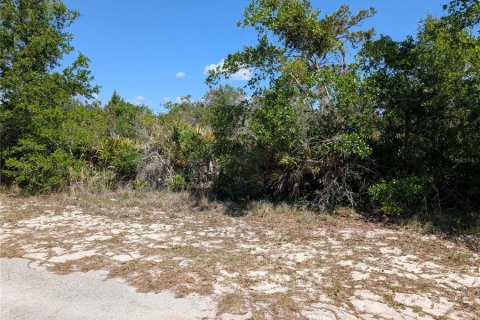 Land in Indian lake estates, Florida № 2159235 - photo 8