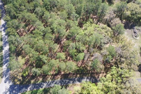 Terreno en venta en Ocala, Florida № 2156360 - foto 9