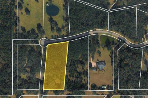 Terreno en venta en Ocala, Florida № 2156360 - foto 3