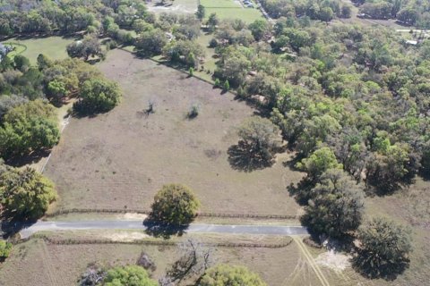 Terreno en venta en Ocala, Florida № 2156360 - foto 10