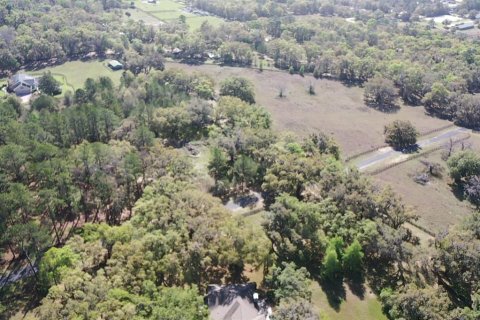 Terreno en venta en Ocala, Florida № 2156360 - foto 5