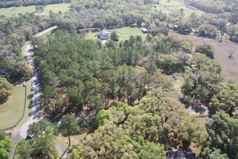 Terreno en venta en Ocala, Florida № 2156360 - foto 8