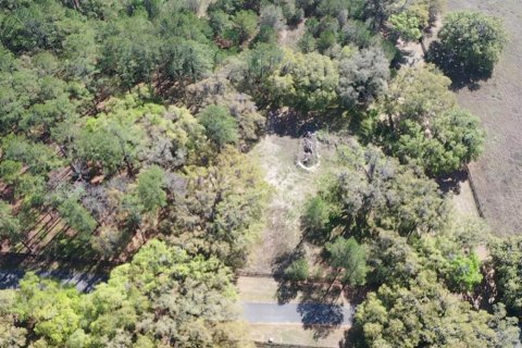 Terreno en venta en Ocala, Florida № 2156360 - foto 7