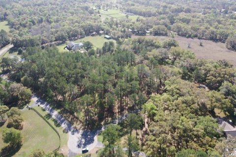 Terreno en venta en Ocala, Florida № 2156360 - foto 4