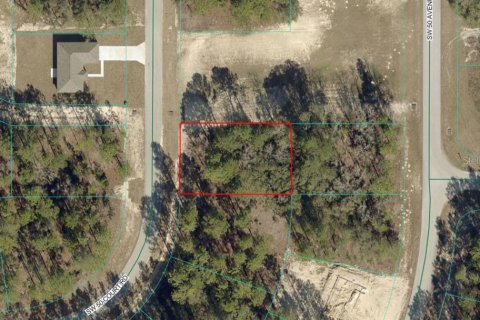 Terrain à Ocala, Floride № 2159290