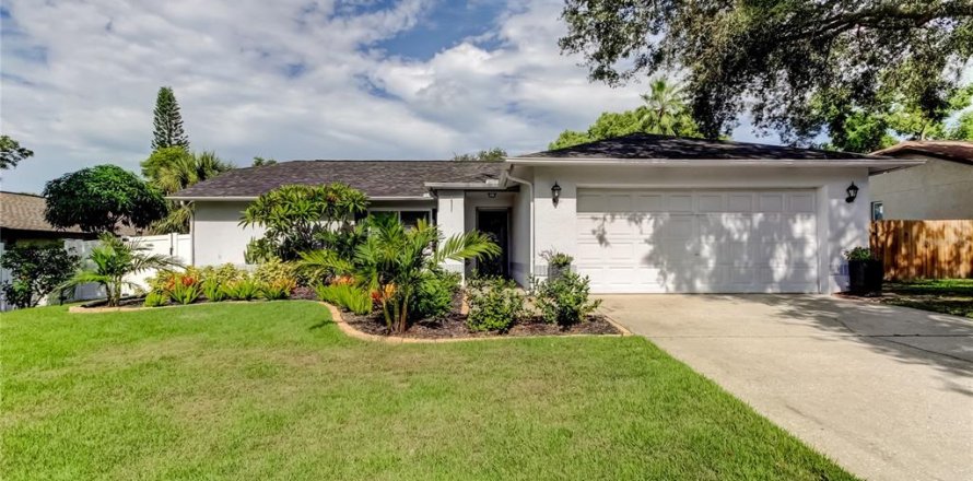 Villa ou maison à Palm Harbor, Floride 2 chambres, 123.28 m2 № 1838866