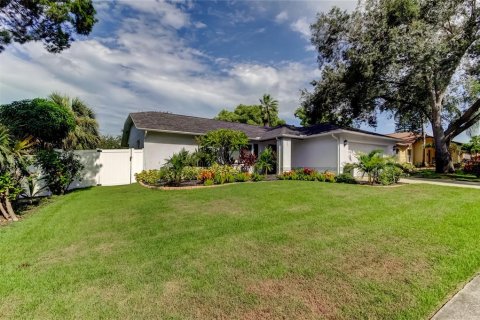 Villa ou maison à vendre à Palm Harbor, Floride: 2 chambres, 123.28 m2 № 1838866 - photo 3