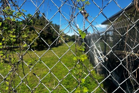 Propiedad comercial en venta en Miami, Florida № 1703707 - foto 8