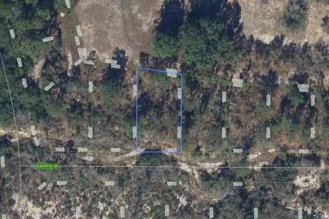 Land in Lake Placid, Florida № 2162561