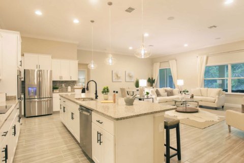 House in GRACELAND ESTATES in Thonotosassa, Florida 4 bedrooms, 291 sq.m. № 197307 - photo 1