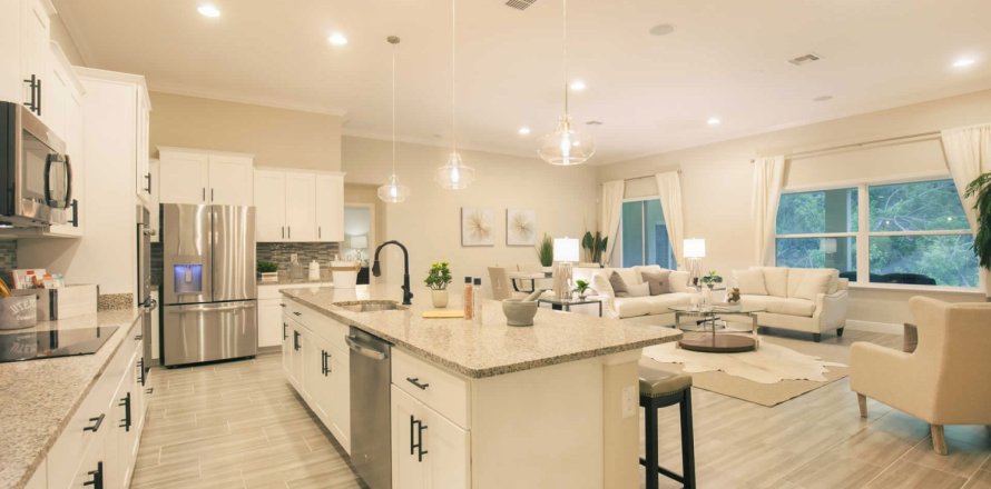 House in GRACELAND ESTATES in Thonotosassa, Florida 4 bedrooms, 291 sq.m. № 197307