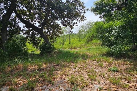 Land in Geneva, Florida № 2115519 - photo 14