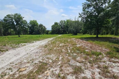 Land in Geneva, Florida № 2115519 - photo 9