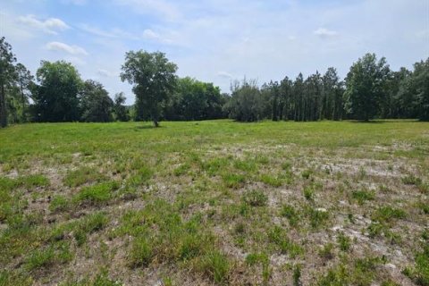 Land in Geneva, Florida № 2115519 - photo 3