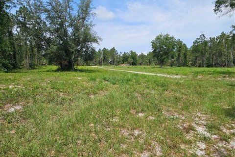 Land in Geneva, Florida № 2115519 - photo 5
