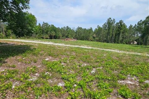 Land in Geneva, Florida № 2115519 - photo 8