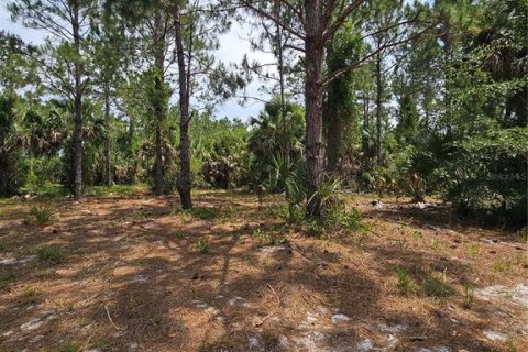Land in Geneva, Florida № 2115519 - photo 11