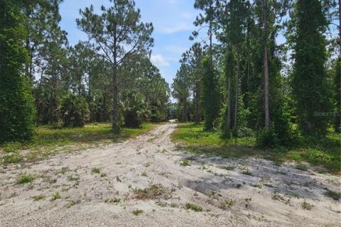 Land in Geneva, Florida № 2115519 - photo 2