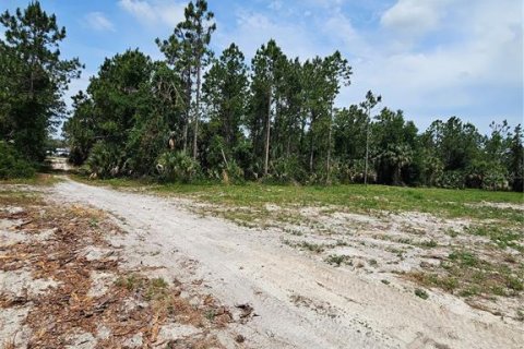 Land in Geneva, Florida № 2115519 - photo 10