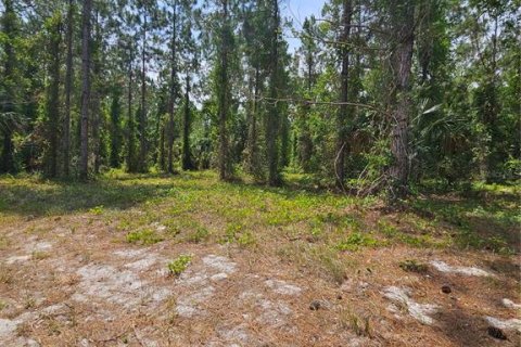 Land in Geneva, Florida № 2115519 - photo 13