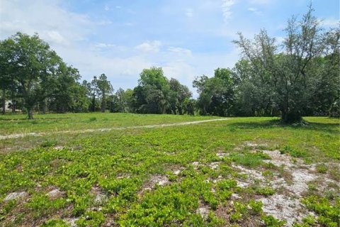 Land in Geneva, Florida № 2115519 - photo 7