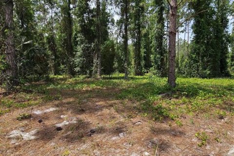 Land in Geneva, Florida № 2115519 - photo 12