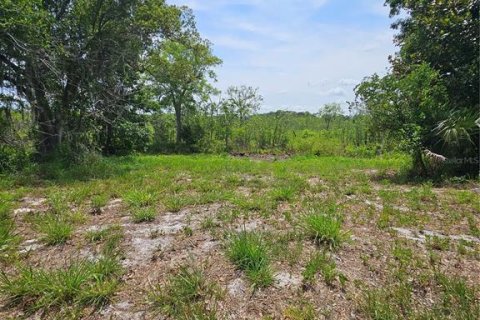 Land in Geneva, Florida № 2115519 - photo 15