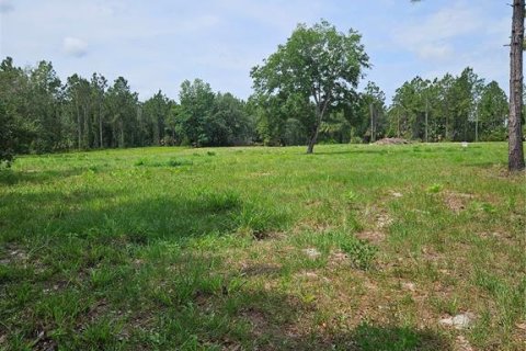 Land in Geneva, Florida № 2115519