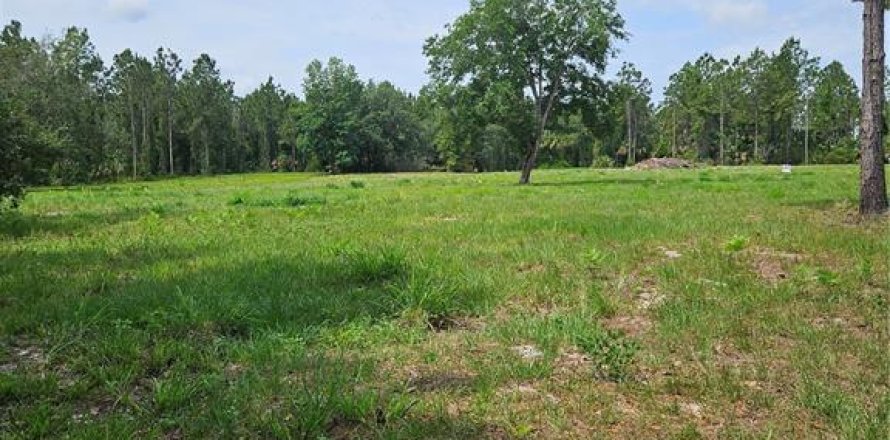 Land in Geneva, Florida № 2115519