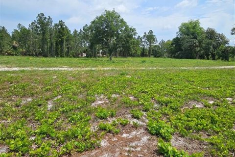 Land in Geneva, Florida № 2115519 - photo 6