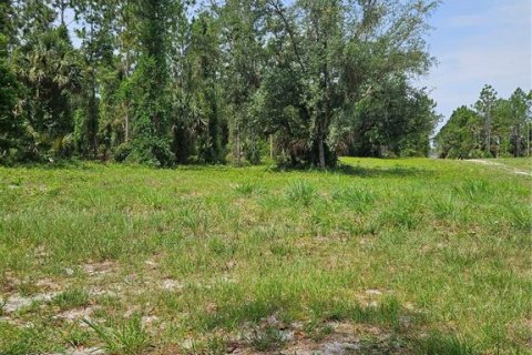 Land in Geneva, Florida № 2115519 - photo 4