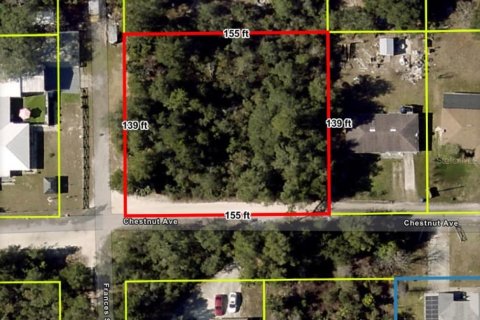 Terreno en venta en Orange City, Florida № 1651536 - foto 4