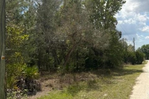 Купить земельный участок в Вики Вачи, Флорида № 2098940 - фото 2