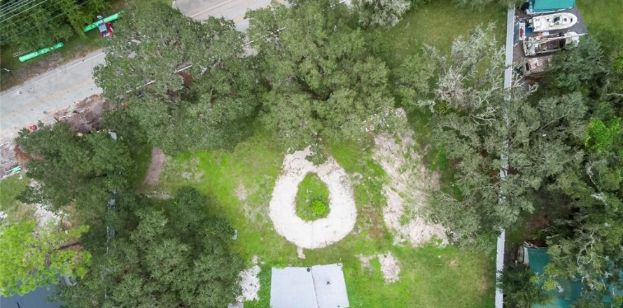 Terrain à Orlando, Floride № 1917516