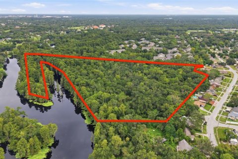 Land in Tampa, Florida № 2318357