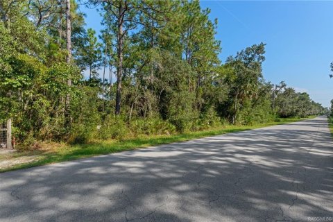 Casa en venta en Homosassa, Florida, 3 dormitorios, 169.27 m2 № 1907099 - foto 13