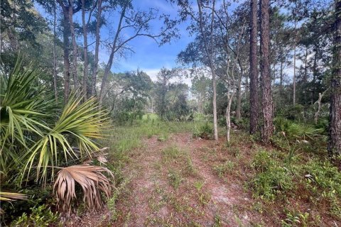 Casa en venta en Homosassa, Florida, 3 dormitorios, 169.27 m2 № 1907099 - foto 29