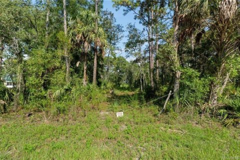 Casa en venta en Homosassa, Florida, 3 dormitorios, 169.27 m2 № 1907099 - foto 23