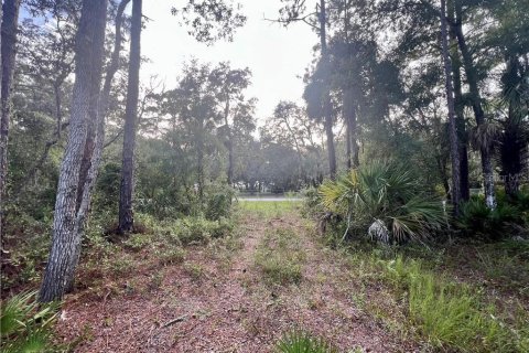 Casa en venta en Homosassa, Florida, 3 dormitorios, 169.27 m2 № 1907099 - foto 25