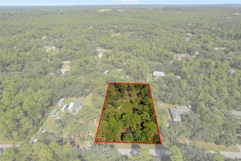 Casa en venta en Homosassa, Florida, 3 dormitorios, 169.27 m2 № 1907099 - foto 3