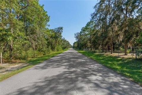 Casa en venta en Homosassa, Florida, 3 dormitorios, 169.27 m2 № 1907099 - foto 7