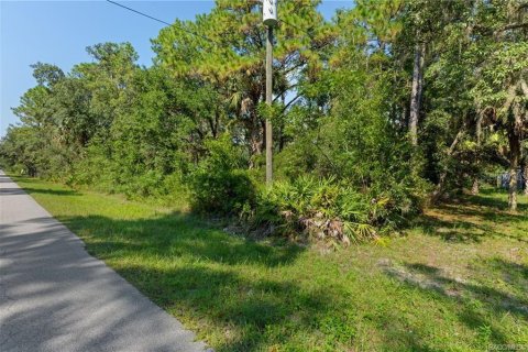 Casa en venta en Homosassa, Florida, 3 dormitorios, 169.27 m2 № 1907099 - foto 21